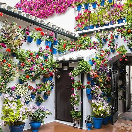 Lovemar Piso Turistico